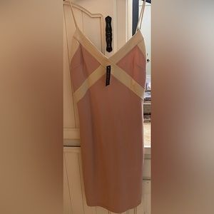 Brand new FashionNova dress. Size L, knee length